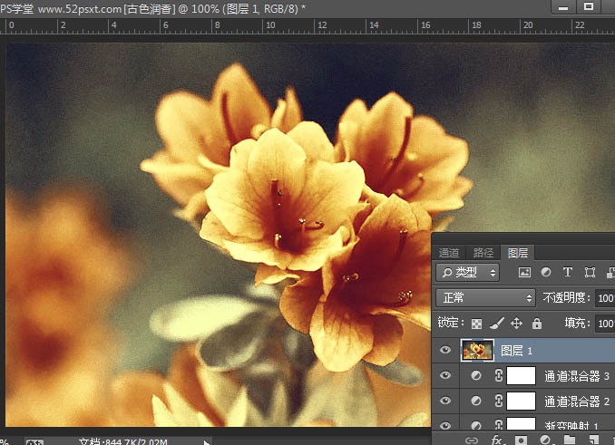 Photoshop打造古典韵味的花卉特写图片