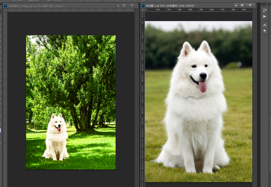 Photoshop抠出草地上可爱小狗