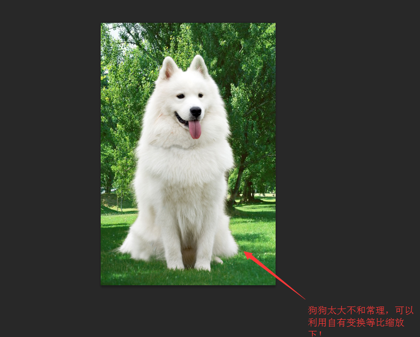 Photoshop抠出草地上可爱小狗