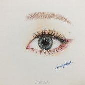 非常漂亮的眼睛彩铅手绘插画作品